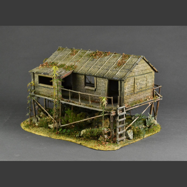 Jungle hut