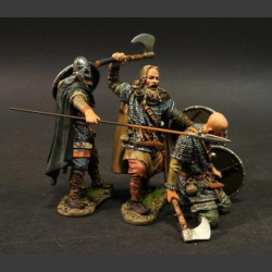 Viking Warriors