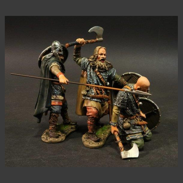 Viking Warriors
