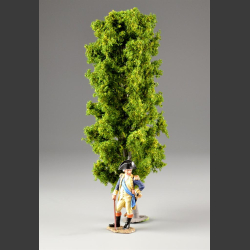 Beeche tree 