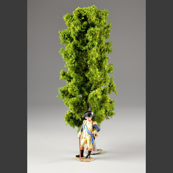 Beeche tree 