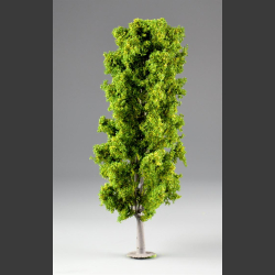Beeche tree 