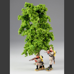Lime tree 