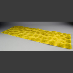 Savannah grass 