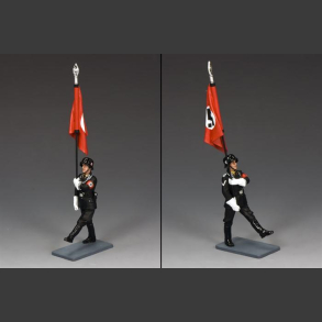 SS Flagbearer Goose-Stepping